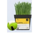 PLANTAcontrol 500