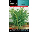 Estragón - Artemisia dracunculus